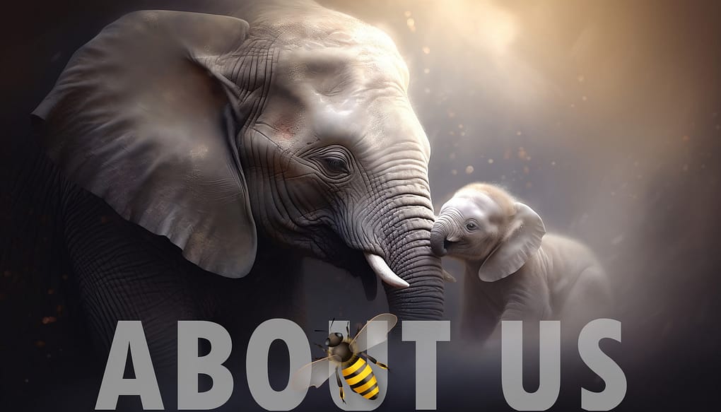 Elephant and calf illustration with about us wording and an African bee